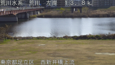 arani2025123113_image