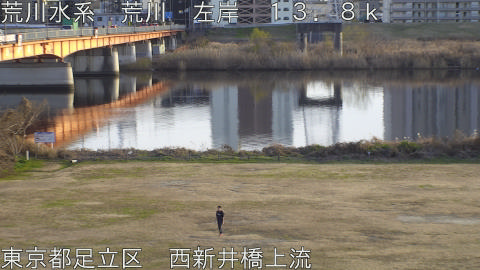 arani2025123116_image