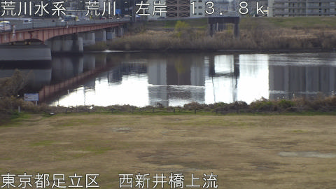 arani2026010109_image