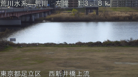 arani2026010110_image