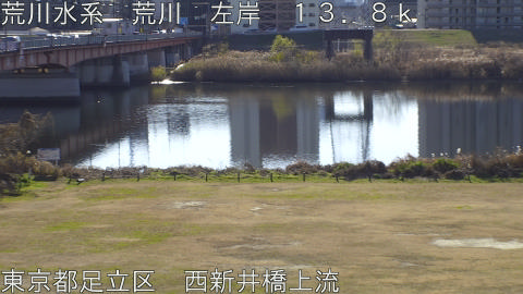 arani2026010111_image