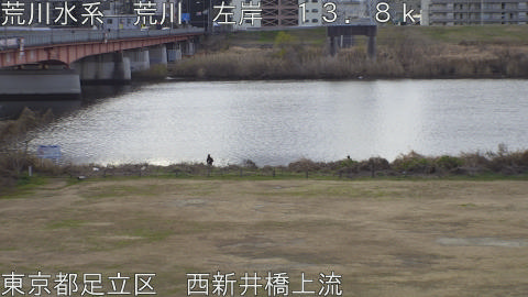 arani2026010209_image