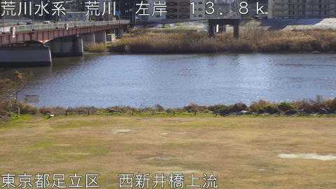 arani2026010313_image