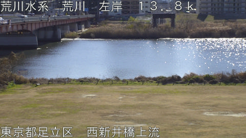 arani2026010412_image