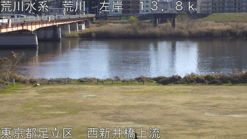 arani2026010414_image