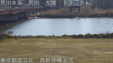 arani2026010512_image