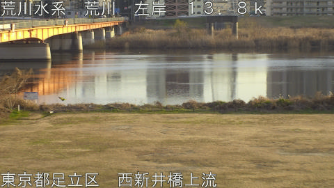 arani2026010516_image