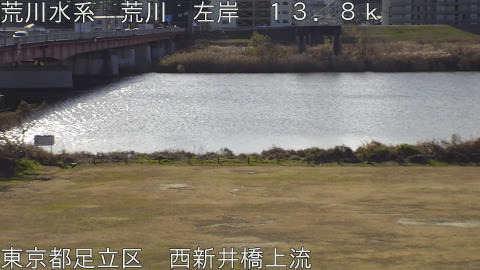 arani2026010610_image