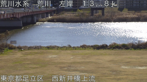 arani2026010612_image