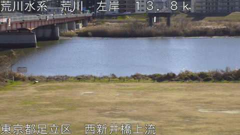 arani2026010613_image