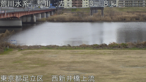 arani2026010712_image