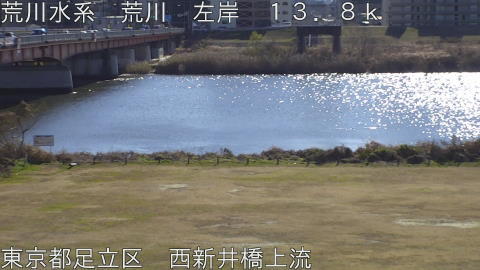 arani2026010812_image