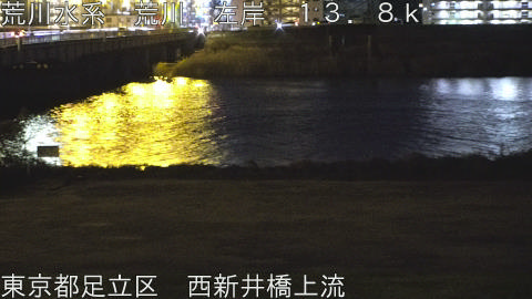 arani2026010820_image