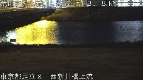 arani2026010821_image