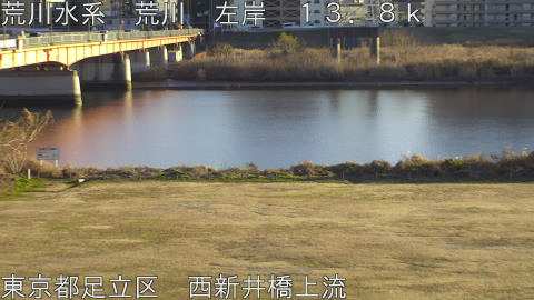 arani2026010916_image