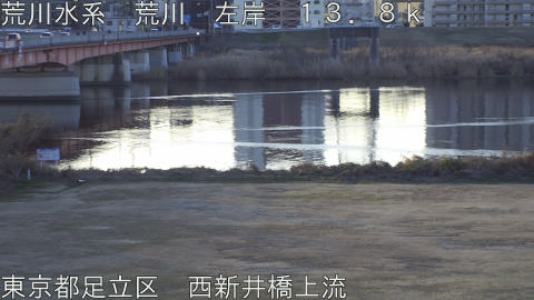 arani2026011008_image