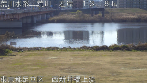 arani2026011010_image