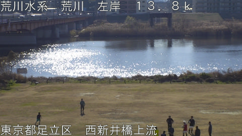 arani2026011011_image