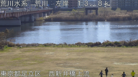 arani2026011012_image