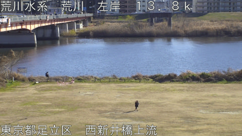 arani2026011014_image