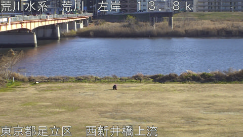 arani2026011015_image