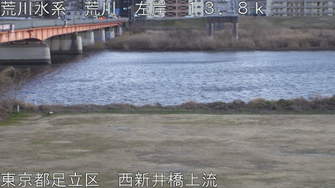 arani2026011017_image