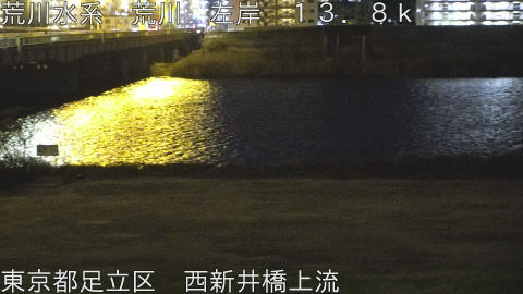 arani2026011023_image