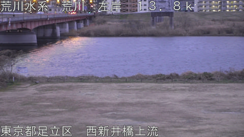 arani2026011107_image