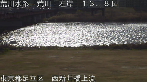 arani2026011111_image