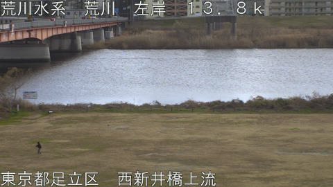 arani2026011114_image