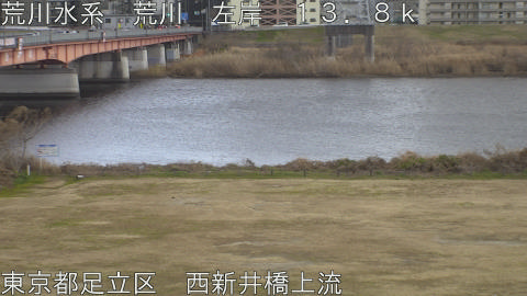 arani2026011115_image