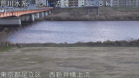 arani2026011117_image