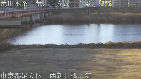 arani2026011208_image