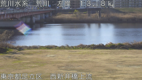 arani2026011209_image