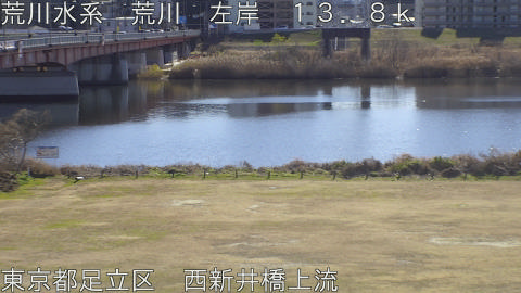 arani2026011212_image