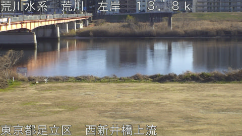 arani2026011215_image