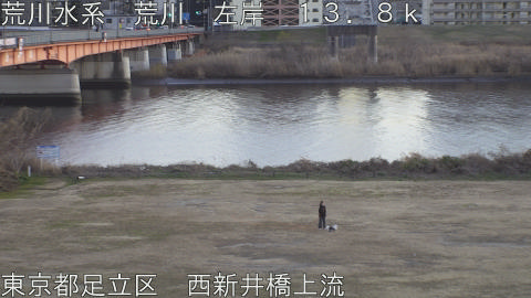 arani2026011217_image