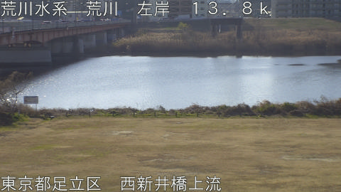 arani2026011310_image