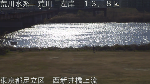 arani2026011311_image