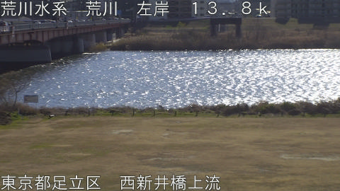 arani2026011312_image