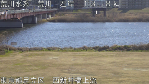 arani2026011313_image