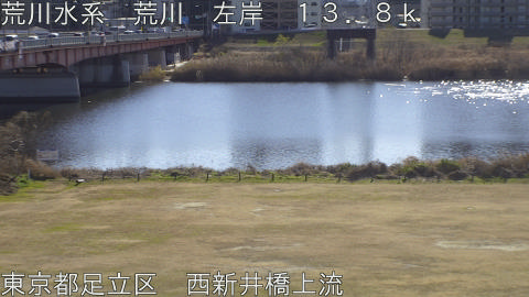 arani2026011412_image