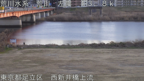 arani2026011417_image