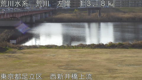 arani2026011509_image