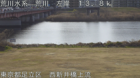 arani2026011510_image