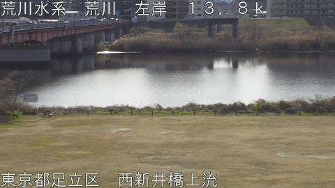 arani2026011511_image