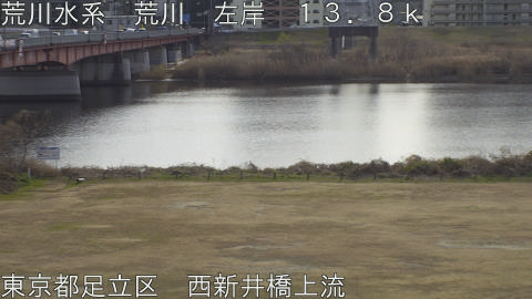 arani2026011512_image