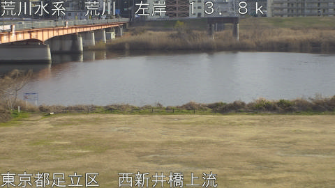 arani2026011515_image