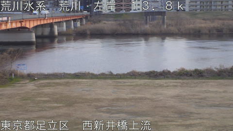 arani2026011517_image