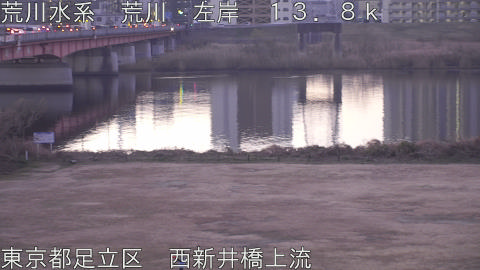 arani2026011607_image